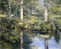 The Duck Pond Impressionismus Landschaft Theodore Robinson